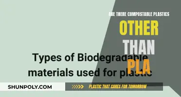 The Future of Compostable Plastics: Alternatives to PLA