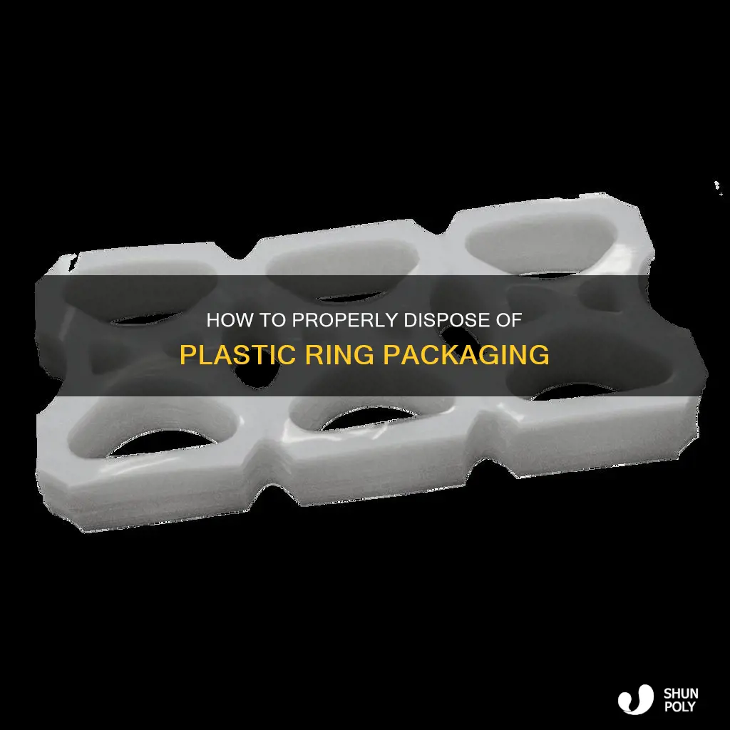 are there did pack plastic rings recyclable