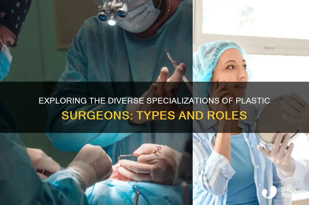 are there different types of plastic surgeons