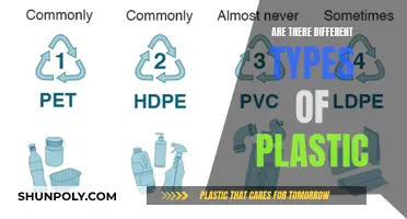 Exploring the Diverse World of Plastic Variants