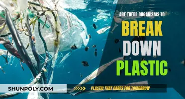 The Promise of Plastic-Eating Organisms