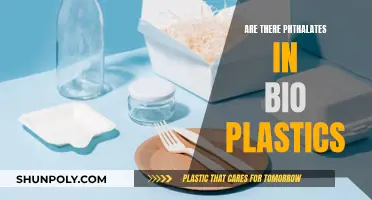 The Presence of Phthalates in Bioplastics: A Concern?