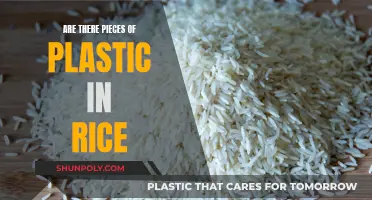 Plastic in Rice: Is It True?