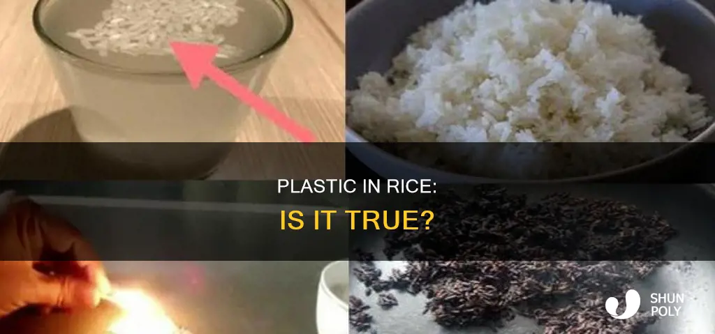are there pieces of plastic in rice