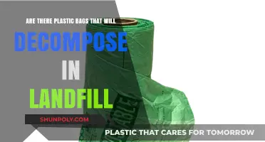 Plastic Bags: Decomposing in Landfills or Not?