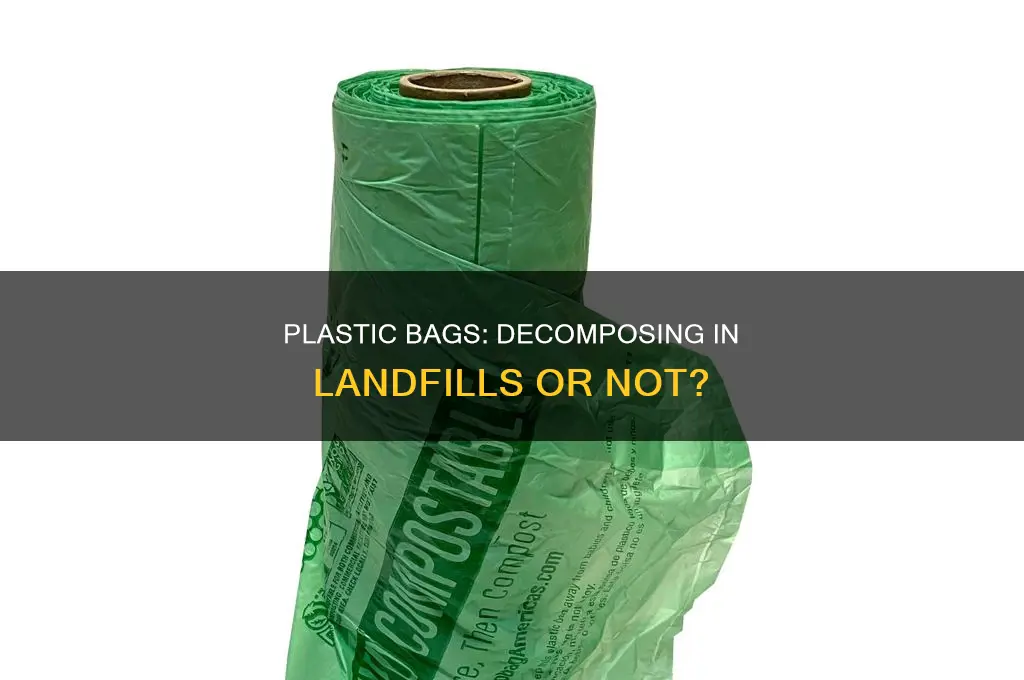 are there plastic bags that will decompose in landfill
