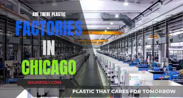 Chicago's Plastic Factories: Exploring Environmental Impacts