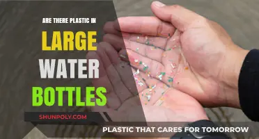 Are Large Water Bottles Contaminated with Plastic Particles?