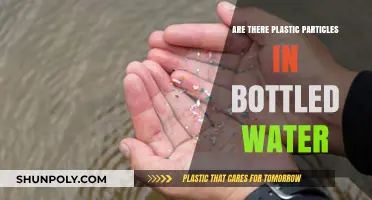 Plastic Particles in Bottled Water: Unseen Dangers in Every Sip