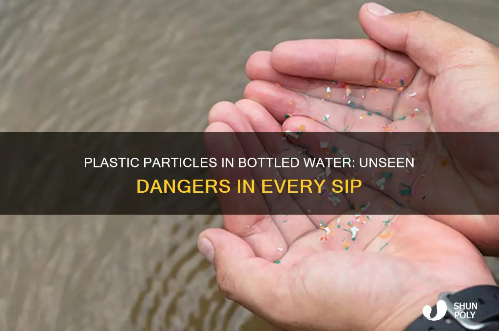 are there plastic particles in bottled water