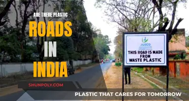Plastic Roads in India: A Reality or a Dream?