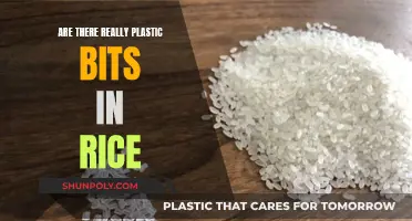 Plastic Rice: Is It Real?