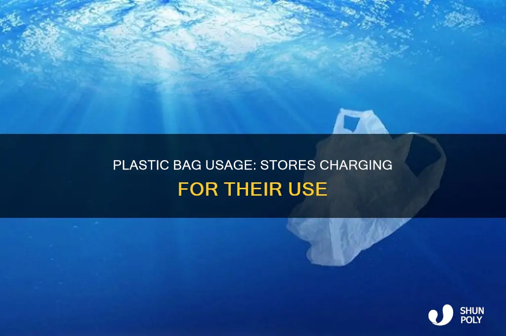 are there stores that charge for use of plastic bags