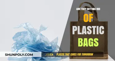 The End of Plastic Bags: What's Next?