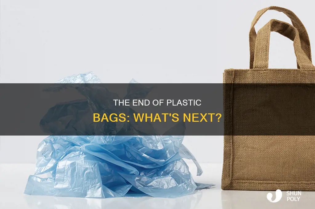 are they getting rid of plastic bags