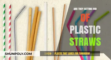 Are Plastic Straws Disappearing? Exploring the Shift to Eco-Friendly Alternatives