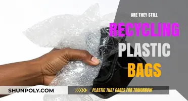 Recycling Plastic Bags: Are We Still Doing It?