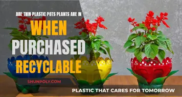 Recycling Plastic Plant Pots: Unlocking Their Environmental Potential