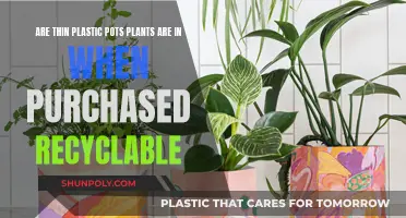 Recycling Plastic Plant Pots: What You Need to Know