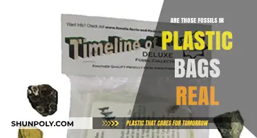 Fossils in Plastic Bags: Real or Fake?