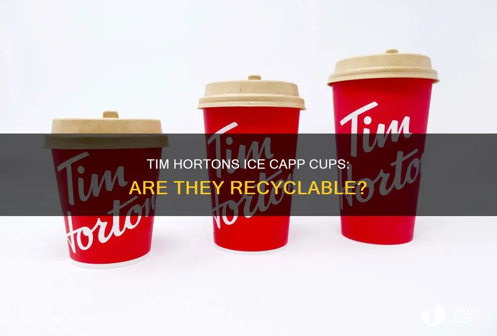 are tim hortons plastic ice capp cups recyclable