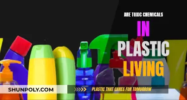 How Plastics Secretly Poison Our Health and Environment