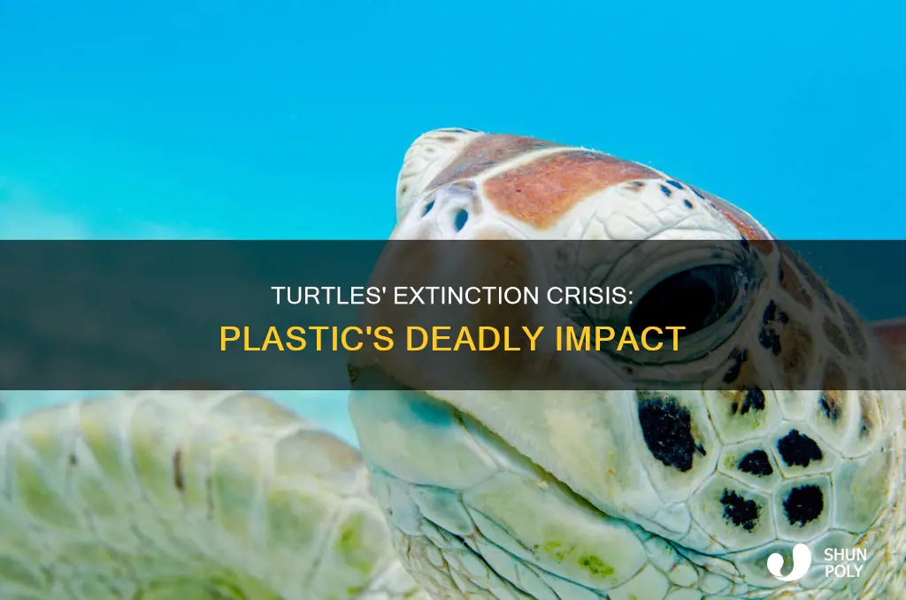 are turtles becoming extinct because of plastic