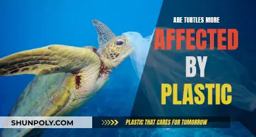 Turtles' Plight: Plastic Impact and Ecological Devastation