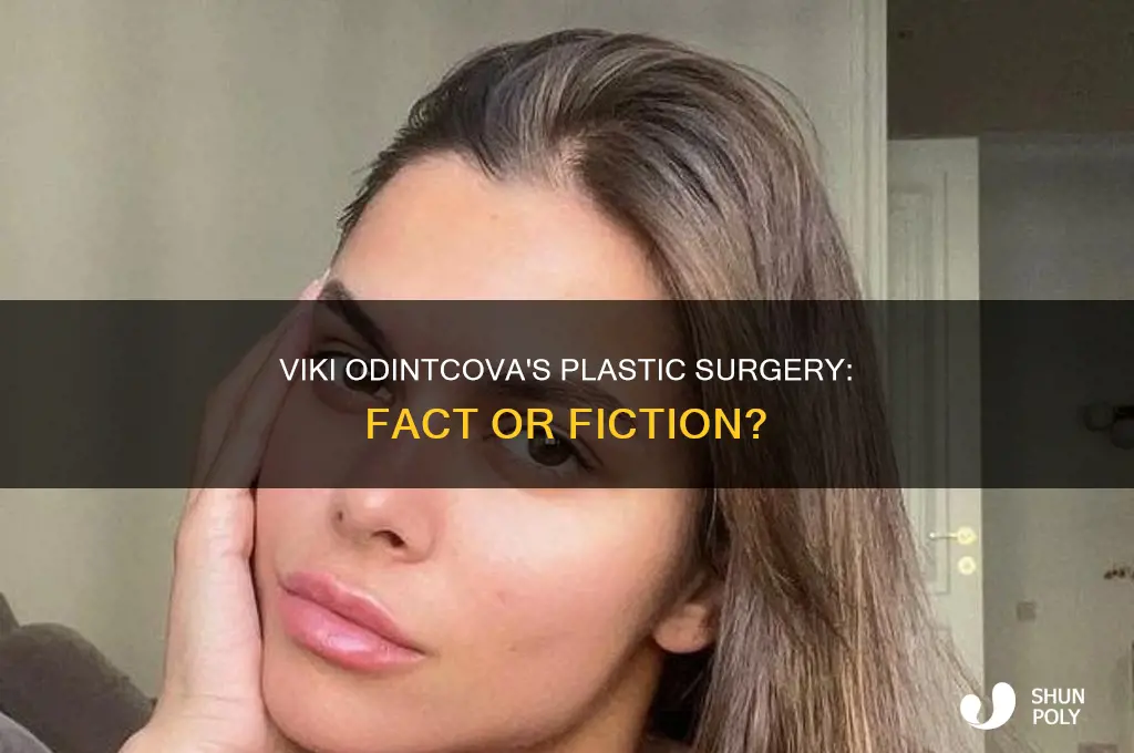 are viki odintcova plastic surgery