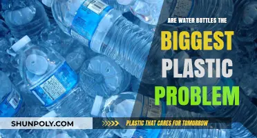 Water Bottles: The Hidden Plastic Crisis Threatening Our Planet