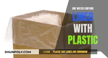 Water Cartons: Plastic-Lined?