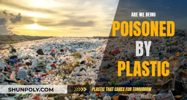 Plastic Poisoning: Is Our Health at Risk?