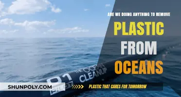 Ocean Cleanup Efforts: Are We Making Progress Against Plastic Pollution?