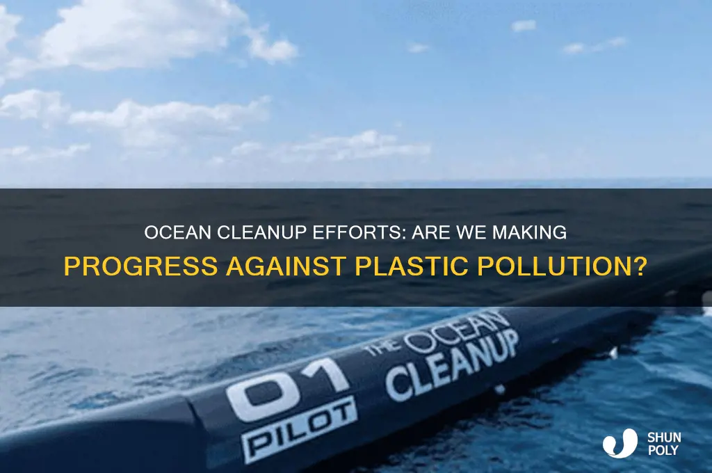 are we doing anything to remove plastic from oceans
