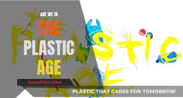 The Plastic Age: Our World, Our Future?