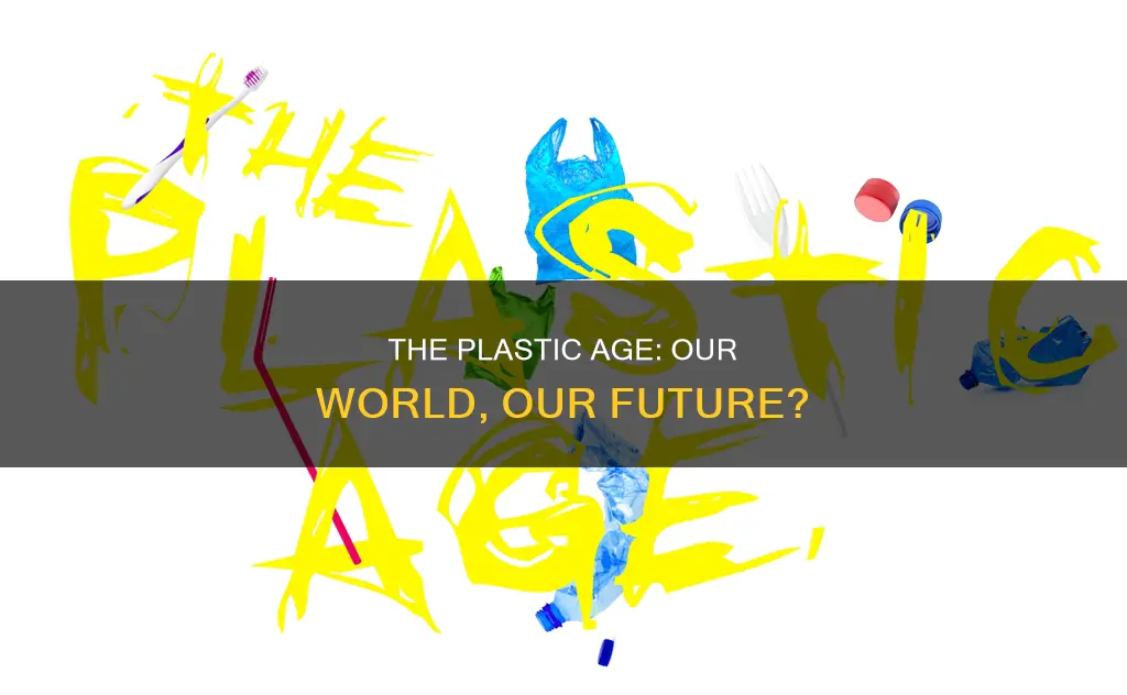 are we in the plastic age