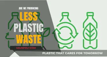 Reducing Plastic Waste: Are Our Efforts Making a Difference?