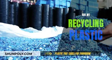 Are We Recycling Plastic? Uncovering the Truth