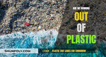 The World Without Plastic: Running Out of Time?