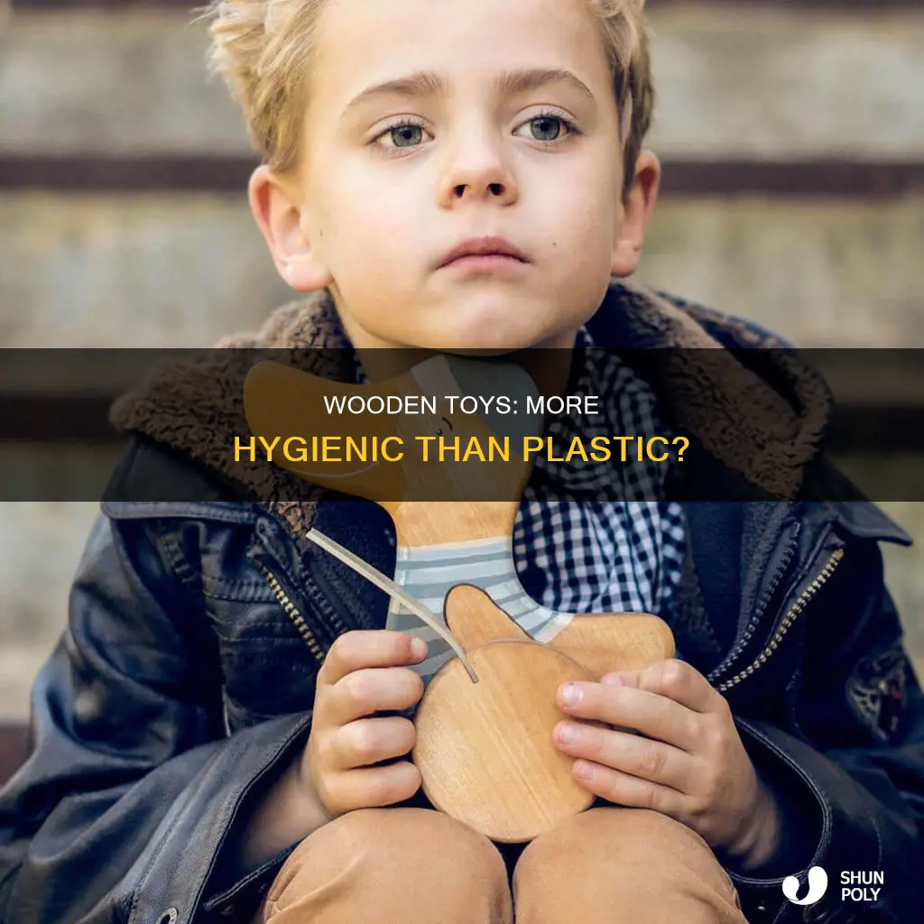 are wooden toys more hygienic than plastic