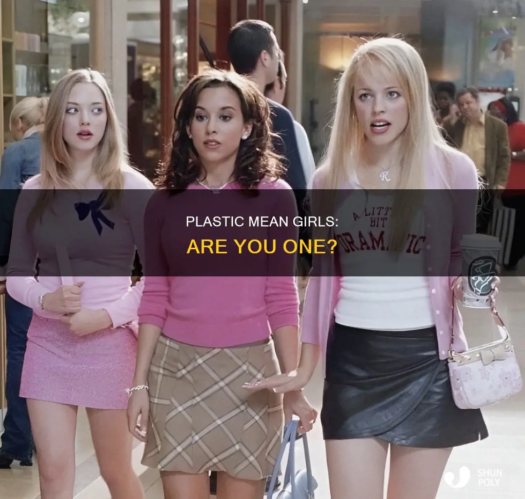 are you a plastic mean girls