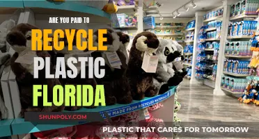 Unveiling Florida's Plastic Recycling Incentives: Are You Getting Paid?