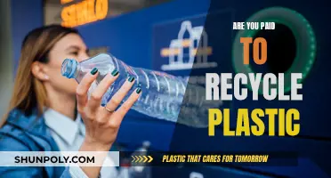 Uncovering the Financial Incentives for Plastic Recycling