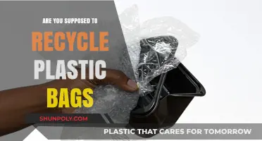 How to Properly Recycle Plastic Bags?