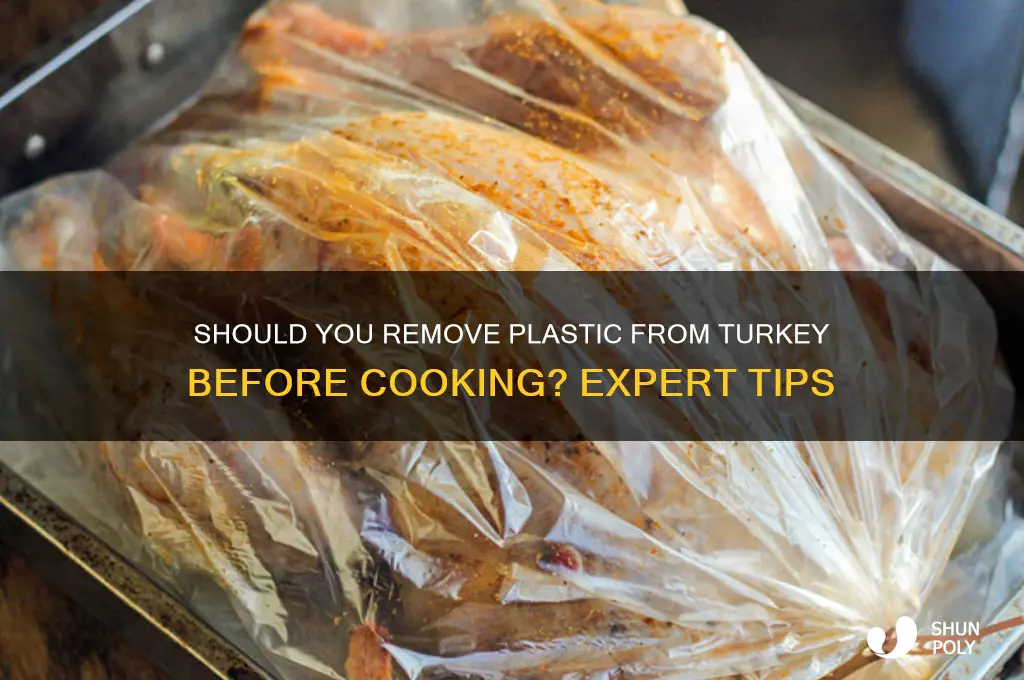 are you supposed to remove plastic from turkey