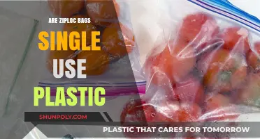 The Plastic Problem: Ziploc Bags and Single-Use Culture