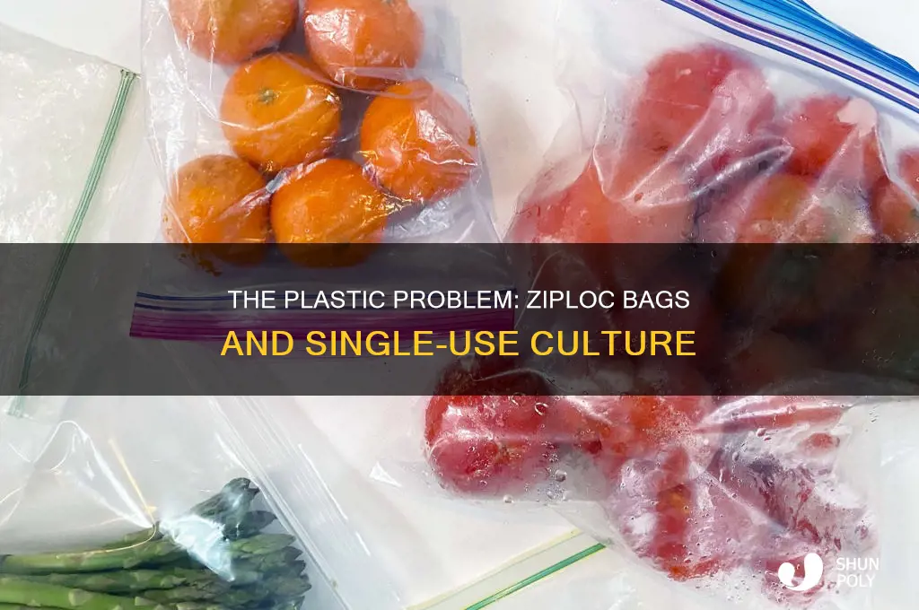 are ziploc bags single use plastic