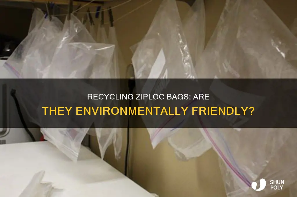 are ziploc plastic bags recyclable