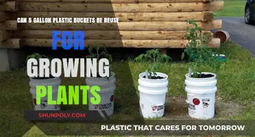 Sustainable Gardening: Reusing 5-Gallon Buckets for Plant Growth