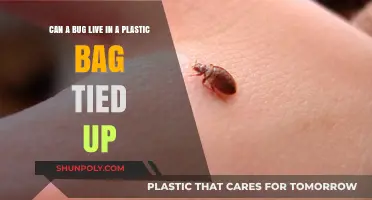 How Long Can Bugs Survive in Sealed Plastic Bags?